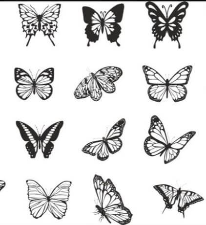 Cuadro Mariposa (individual)